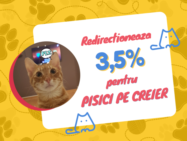 Pisici pe creier  - platformă de adopții, fundraising și cultură 